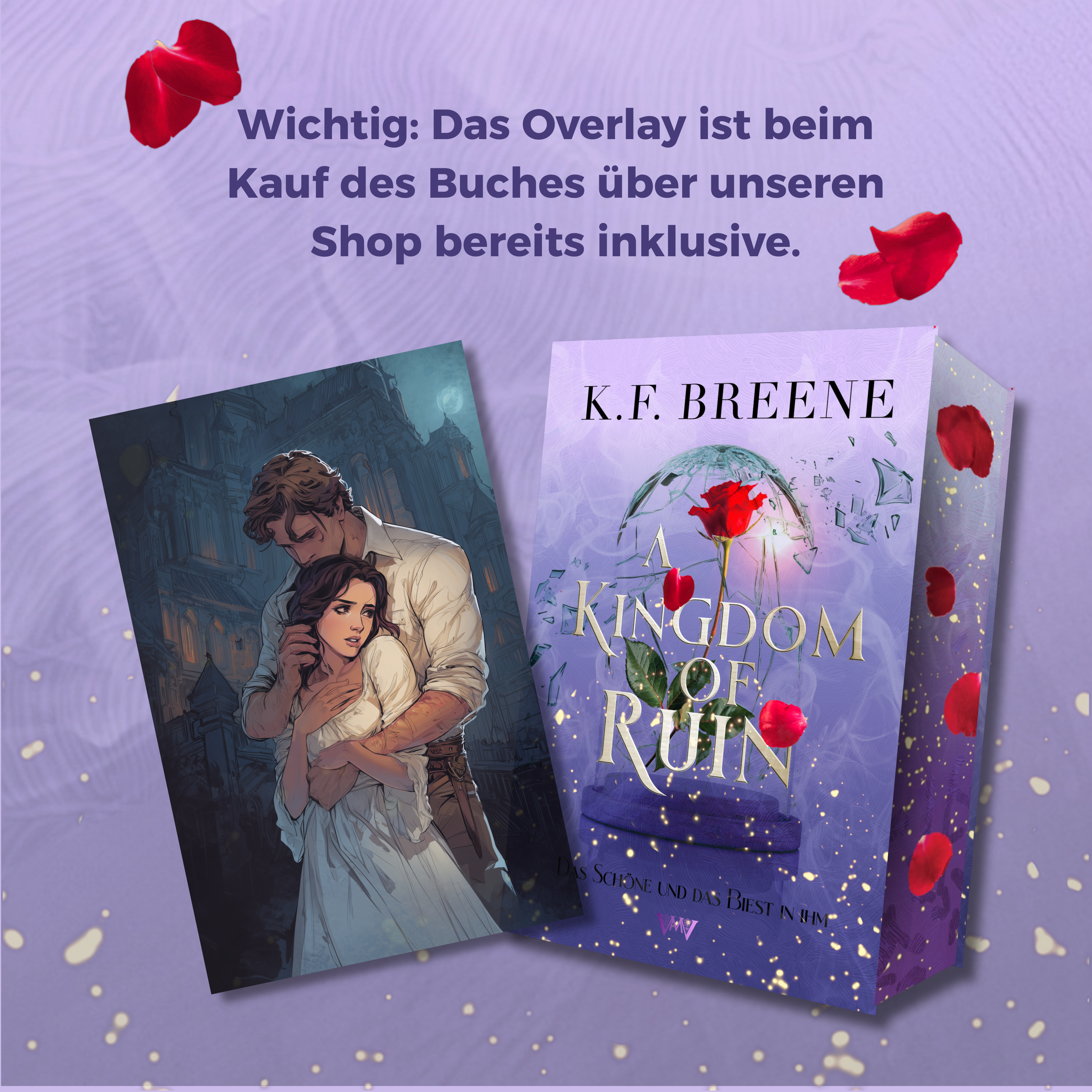Page Overlay "A Kingdom of Ruin" (Deliciously Dark Fairytales Band 3)