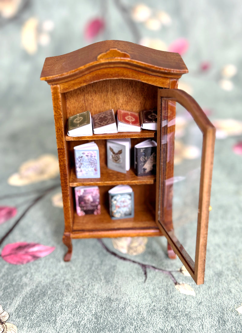 Mini-Bücherregal mit Mini-Büchern