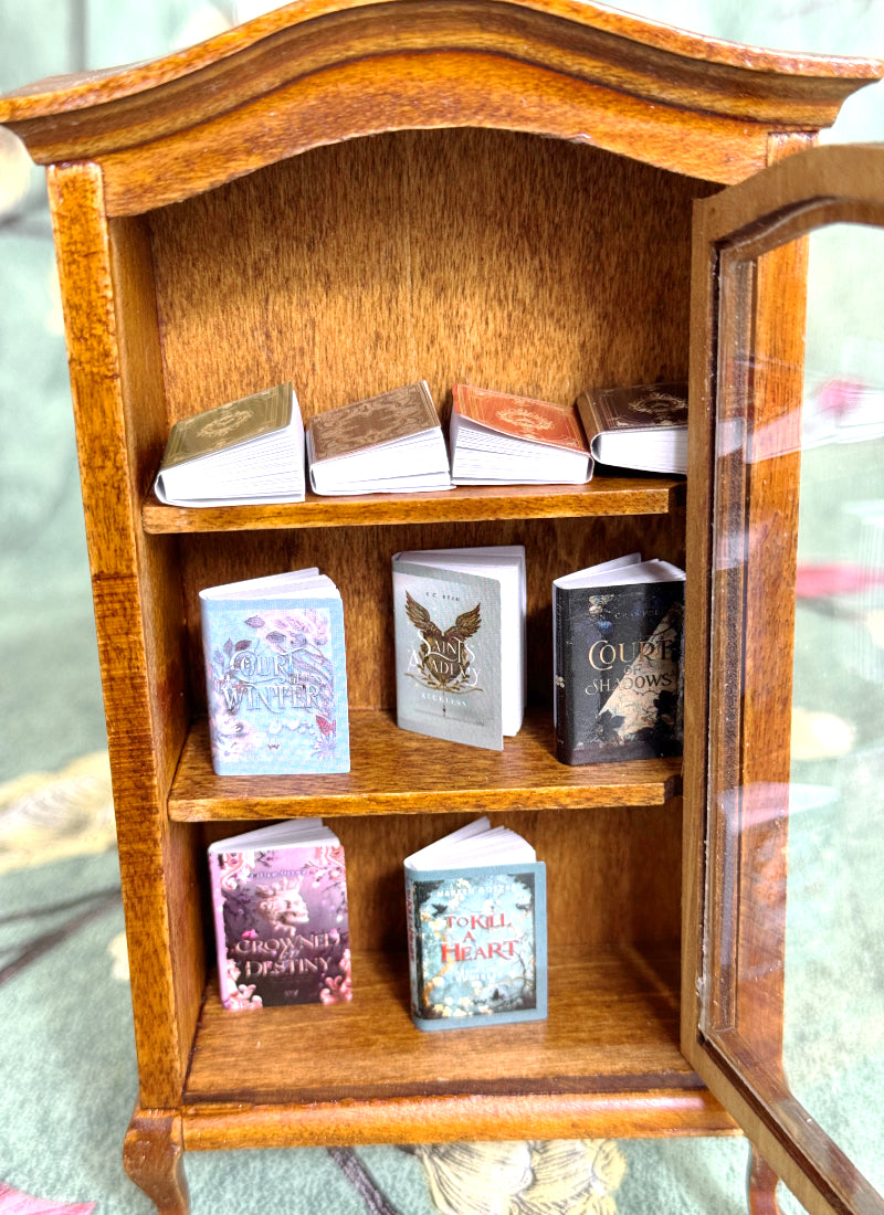 Mini-Bücherregal mit Mini-Büchern