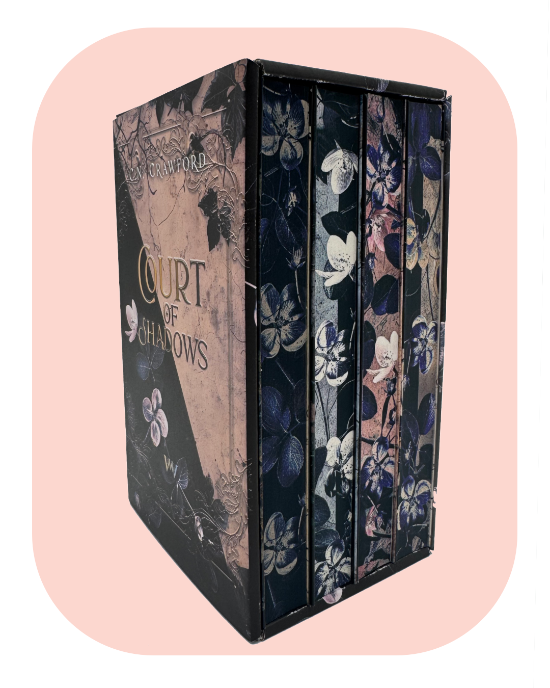 Die gesamte Reihe: Shadow Fae im Schuber mit tollen Extras