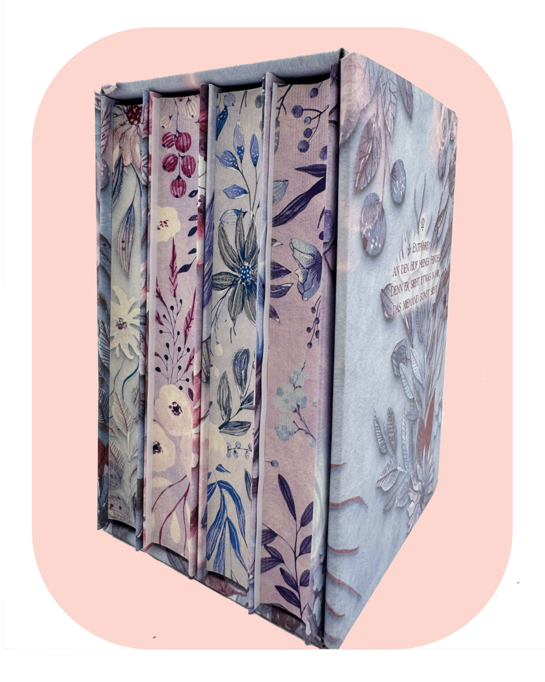 Die komplette Serie: Buchbox zu "Court of Winter" zusammen mit Band 2-4 und exklusivem Schuber