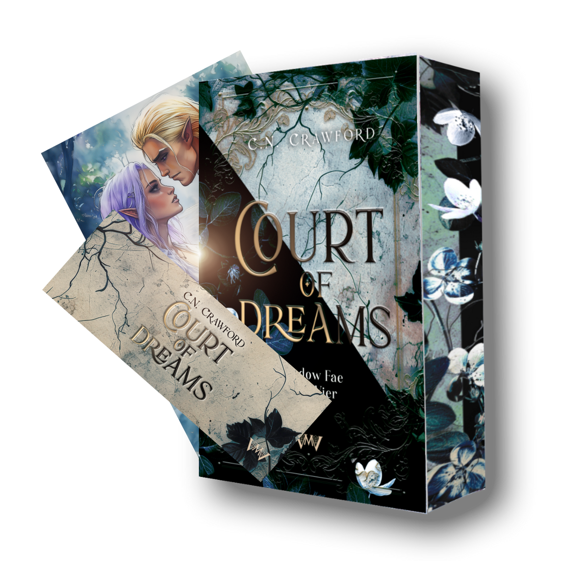 Court of Dreams - Shadow Fae Band 4 in der Sonderausgabe (Vorbestellung)