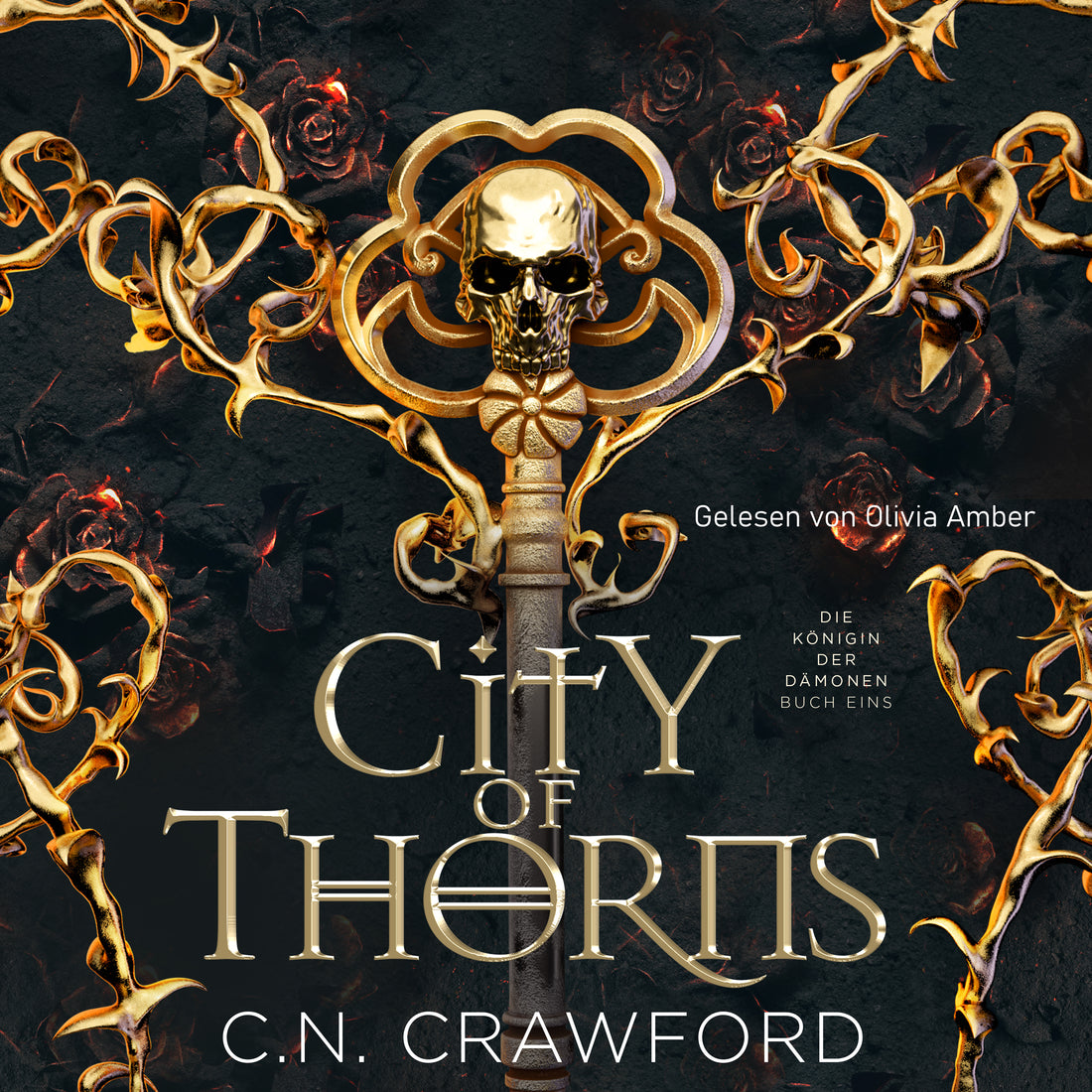Hörbuch City of Thorns