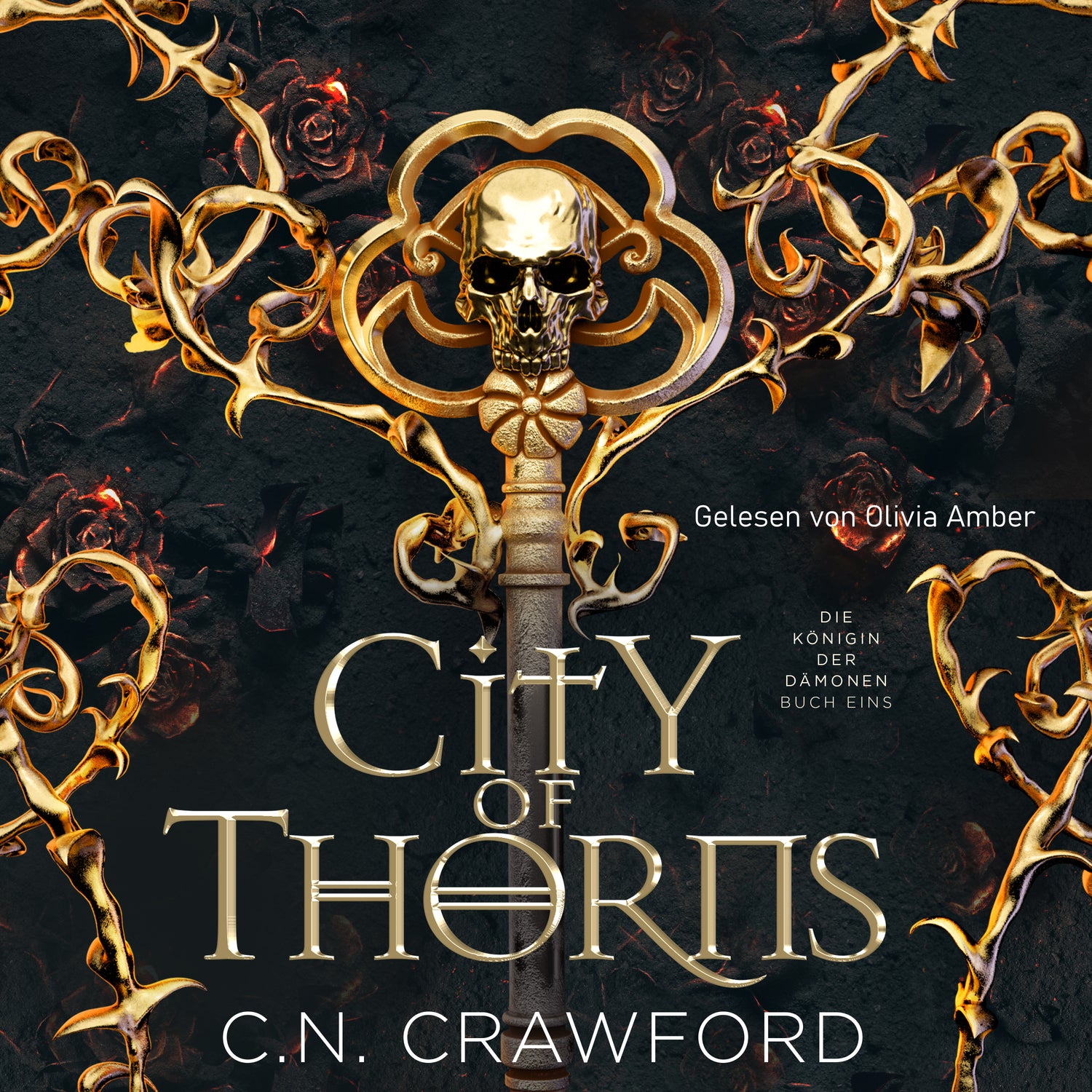 Hörbuch City of Thorns