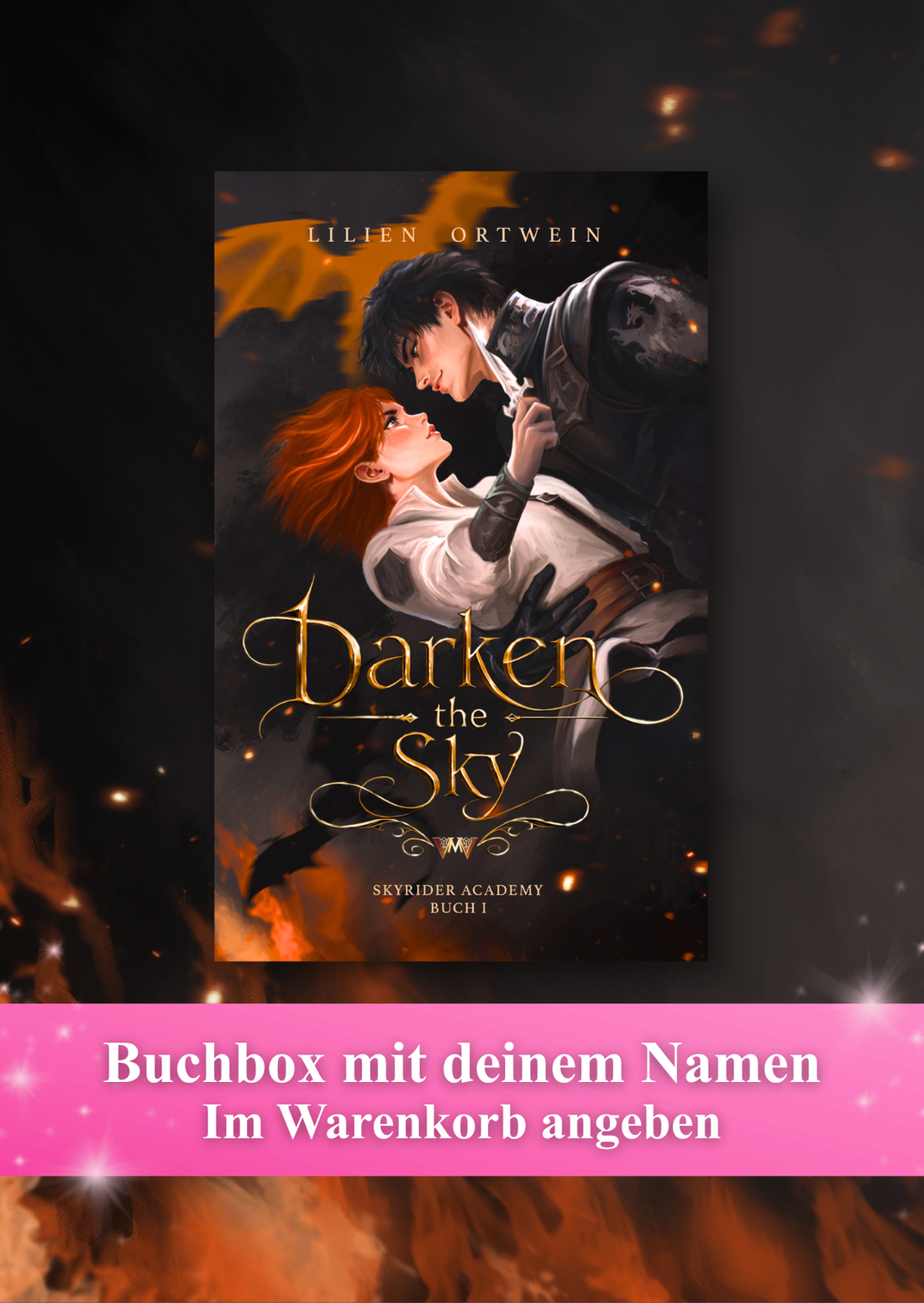 Buchbox: Darken the Sky (Skyrider Academy 1) (Vorbestellung)