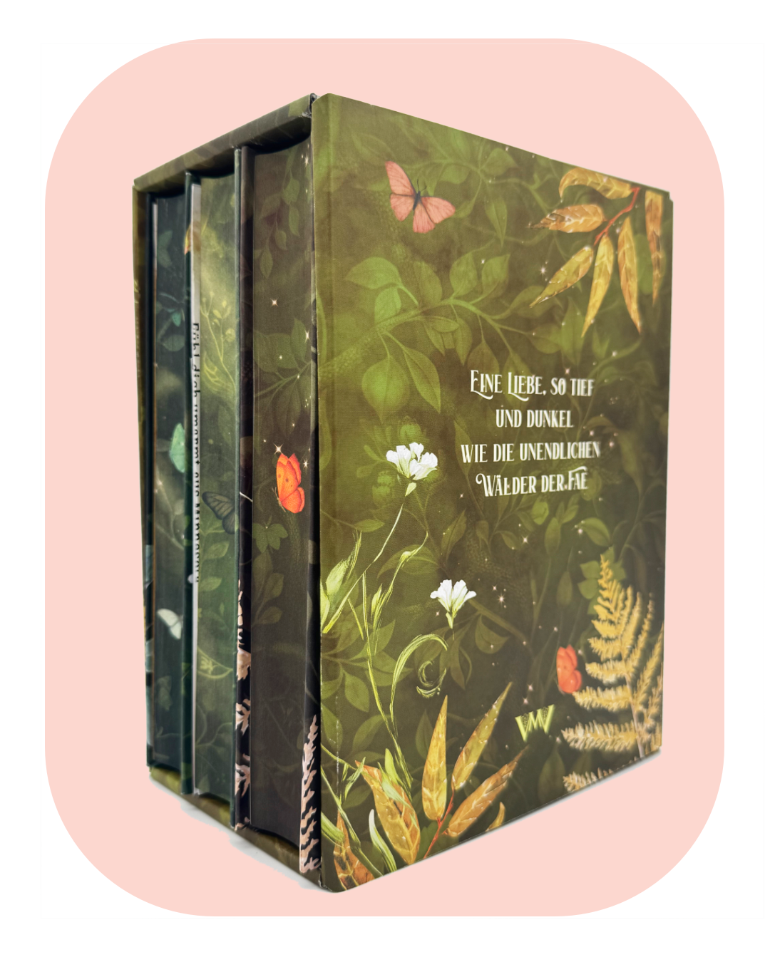 Die komplette Serie: Buchbox zu "Kingdom of Faewood" und Band 2 &amp; 3 im exklusiven Schuber