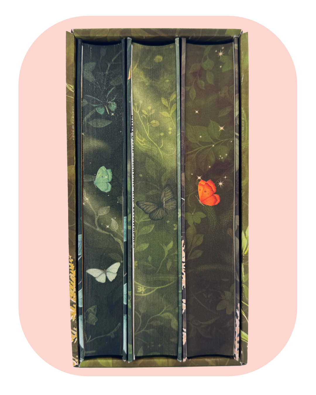 Die komplette Serie: Buchbox zu "Kingdom of Faewood" und Band 2 &amp; 3 im exklusiven Schuber