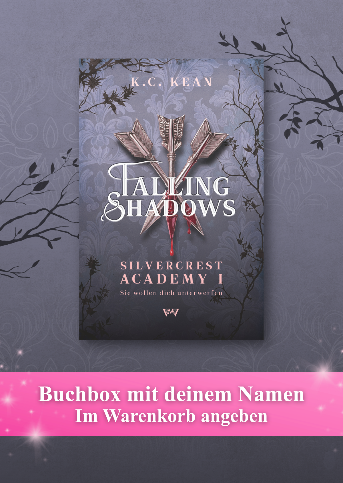 Buchbox: Silvercrest Academy 1 - Falling Shadows