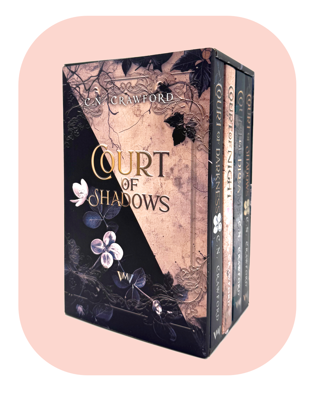 Die gesamte Reihe: Shadow Fae im Schuber mit tollen Extras