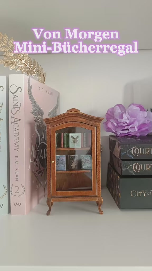 Mini-Bücherregal mit Mini-Büchern