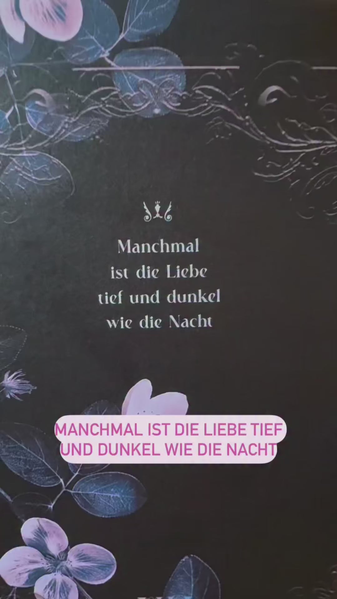Die gesamte Reihe: Shadow Fae im Schuber mit tollen Extras