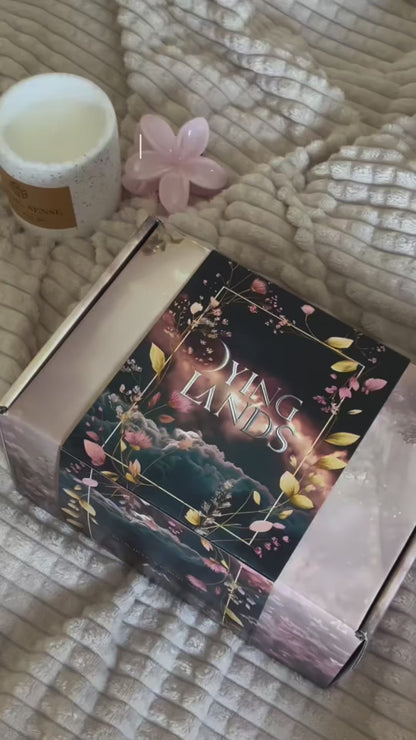Buchbox: Dying Lands 1 - The Forbidden Fae King
